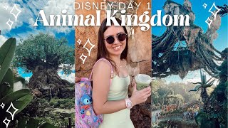 Animal Kingdom Disney World Vlog 2022 ✨  using Genie+ for the first time, enjoying the DAK vibes