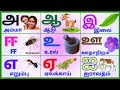 Tamil alphabets/அஆஇஈ/உயிர்எழுத்துக்கள்/Uyireluthukkal @PEEKABOO-ff8wq #uyireluthukkal
