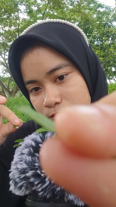 ASMR CARI KUTU 🐢