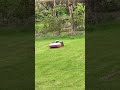 Robo time, no one around, just doing it's thing! 🤖🤖