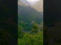 way to chakrata#nature #fun #hillstation #travel #ukhills #mountains #funspot