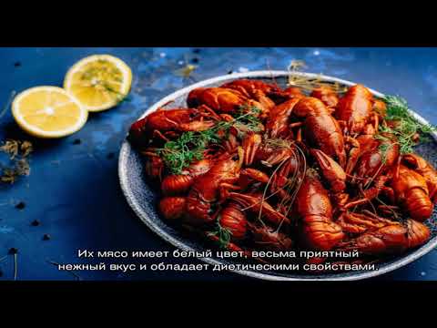 Как хранить вареных раков