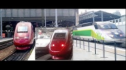 Brussels To Paris By Thalys | 295 kmph | High Speed Train | Europe Diaries 