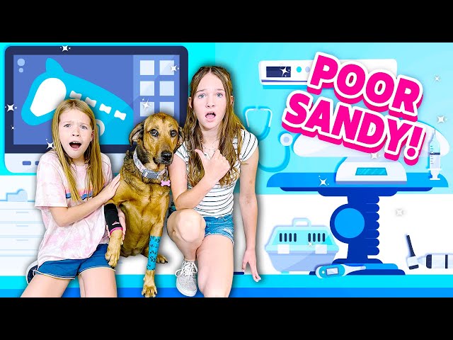 Oh no! Poor Sandy! Be sure to watch our latest video on Tic Tac Toy to see  what happened to our sweet puppy and how the new Rainbocorn…