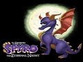 (PS2) The Legend of Spyro II - The Eternal Night 100%