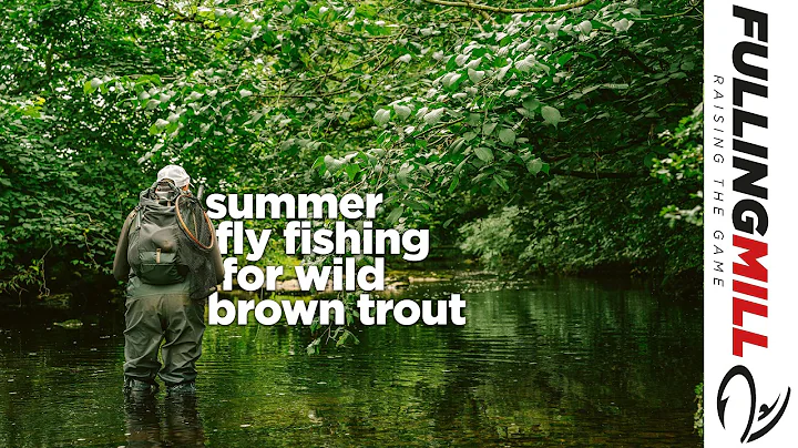 Wild Brown Trout on the Fly: A Summer Fly Fishing Masterclass with Paul Procter