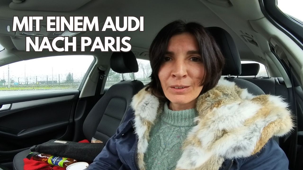 Road Trip: Holland, Paris und zurück mit den Hunden