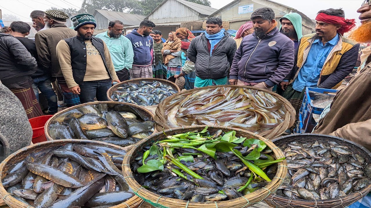 সব রেকর্ড ভাঙলো !! কেউ কল্পনাও করে নাই এত সস্তায় বিলের মাছ বিক্রি হবে | dhaka dohar dubli bazar