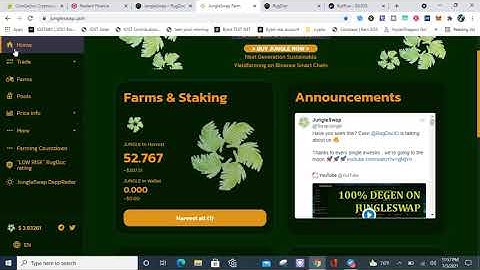 Binance Smart Chain  and Fantom Yield Farming Strategy!
