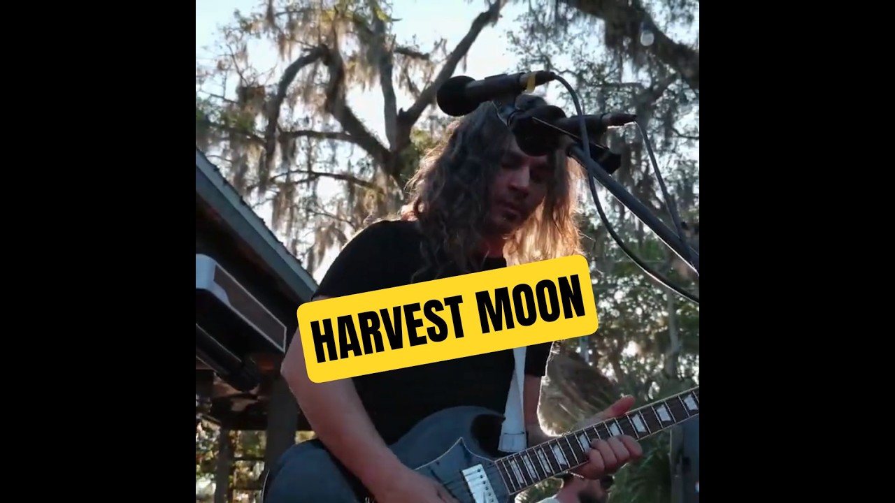 Harvest Moon | Neil Young #80s #looping