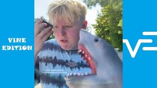 Funniest Shark Puppet Instagram Videos 2019 - Vine Edition✔