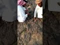بئر في حايل من زمن نبي الله سليمان حفروه الجن