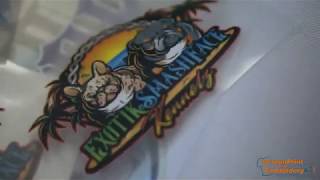 Screen Print & Embroidery AZ