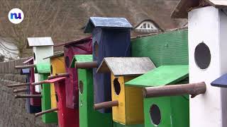 Dorpenfestival Op 1 Juli - Gemeente Aa En Hunze