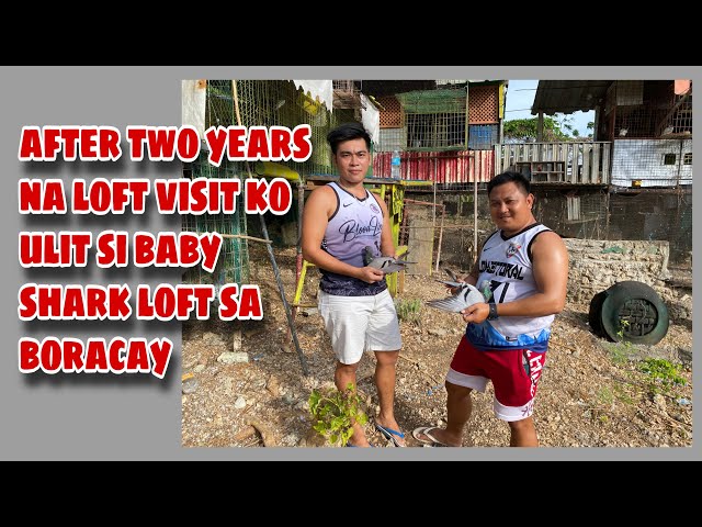 LOFT VISIT KAY BABY SHARK LOFT SA BORACAY |Reggie Cruz Loft u0026 Aviary #reggiecruzloftandaviary class=