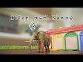 Color and Shape 【Cars | Elephant | track | fun】