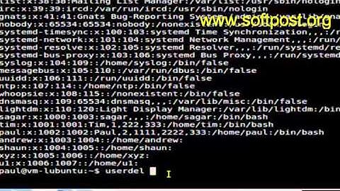 How to delete a user in Arch Linux