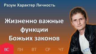 Жизненно важные функции Божьих законов | 30.04 | Разум Характер Личность - День за днем