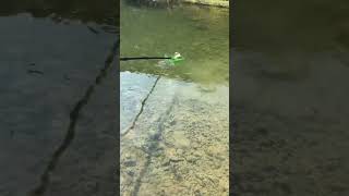 New Updated Slingshot Fishing Reel Set is coming! Free for shipping on sale. Visit our Shopify store