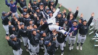 履正社は３年ぶり７度目 第８９回選抜高校野球大会