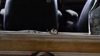 Death of the Place