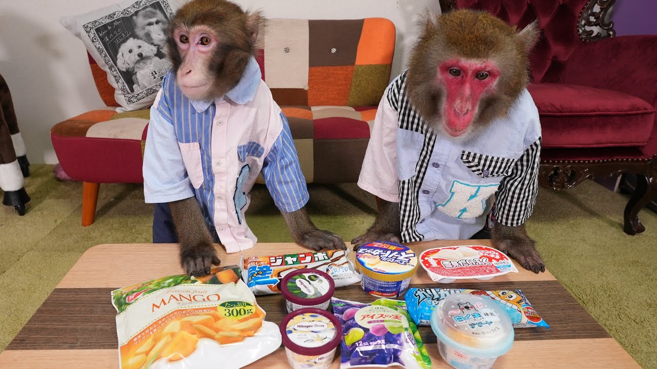 お猿さんが好きなアイスNo.1が決まりました