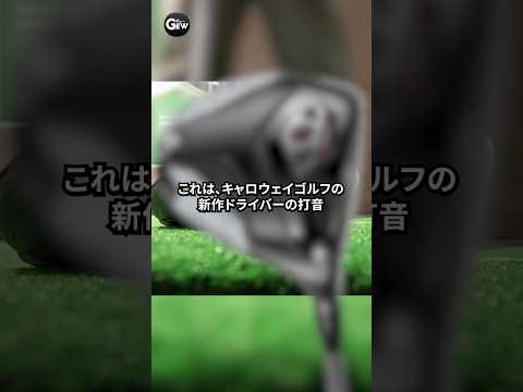 【音量注意】この打音、気持ち良すぎる。QUANTUMドライバー【ASMR】