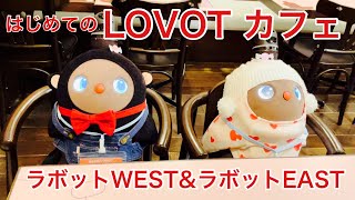 【LOVOTカフェ ラゾーナ川崎】関西と関東ラボットオーナーがラボットカフェ一緒に行ってみた