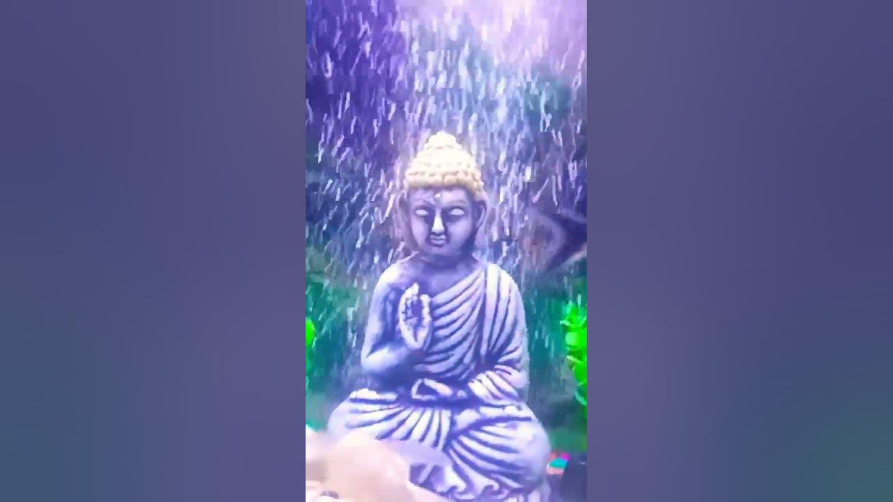 Lord Buddha in Aquarium full setup with 10pies colour fish. YouTube