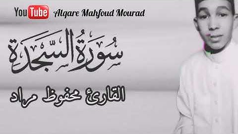 تلاوة هادئة تريح القلب وراحة نفسية 🎧 القارئ محفوظ مراد