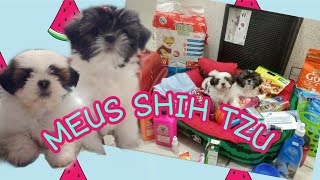 MEUS SHIH TZU FILHOTES - comprinhas para os meus cachorros #SkayeeThor #shihtzu #filhos #compras
