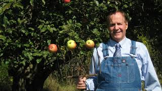 Cider Trailer