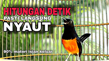 MURAI BATU GACOR em0s1 tinggi sangat ampuh NAIKAN JIWA MURAI F1GHT3R sekaligus BONGKAR ISIAN‼️