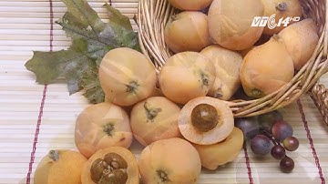 (VTC14)_Sự thật vể quả nhót Nhật nhà giàu Việt tranh nhau mua giá 4 triệu đồng/1kg