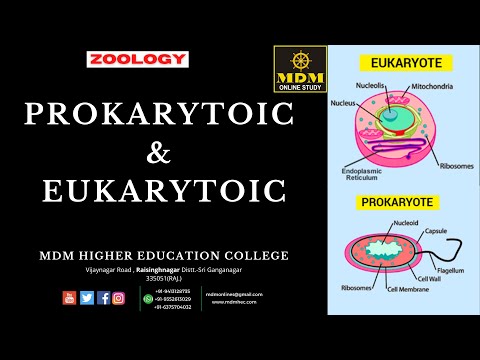 Prokarytoic & Euprokarytoic  || by- Yadvinder Sir || MDM Higher Edu. College || MDM ONLINE STUDY