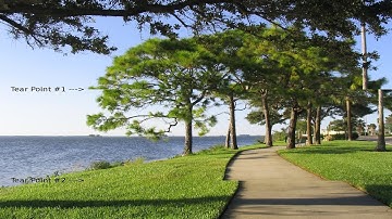 [V.2] How To Fix Screen Tearing With NVIDIA Cards [Linux] [Proprietary]