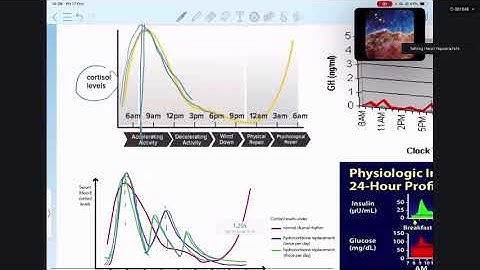 EM - Principles of hormona replacement therapy - Hasali
