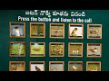 #kollerubirdsanctuary #kolleru #birdsanctuary #birdsounds #birds #toorism