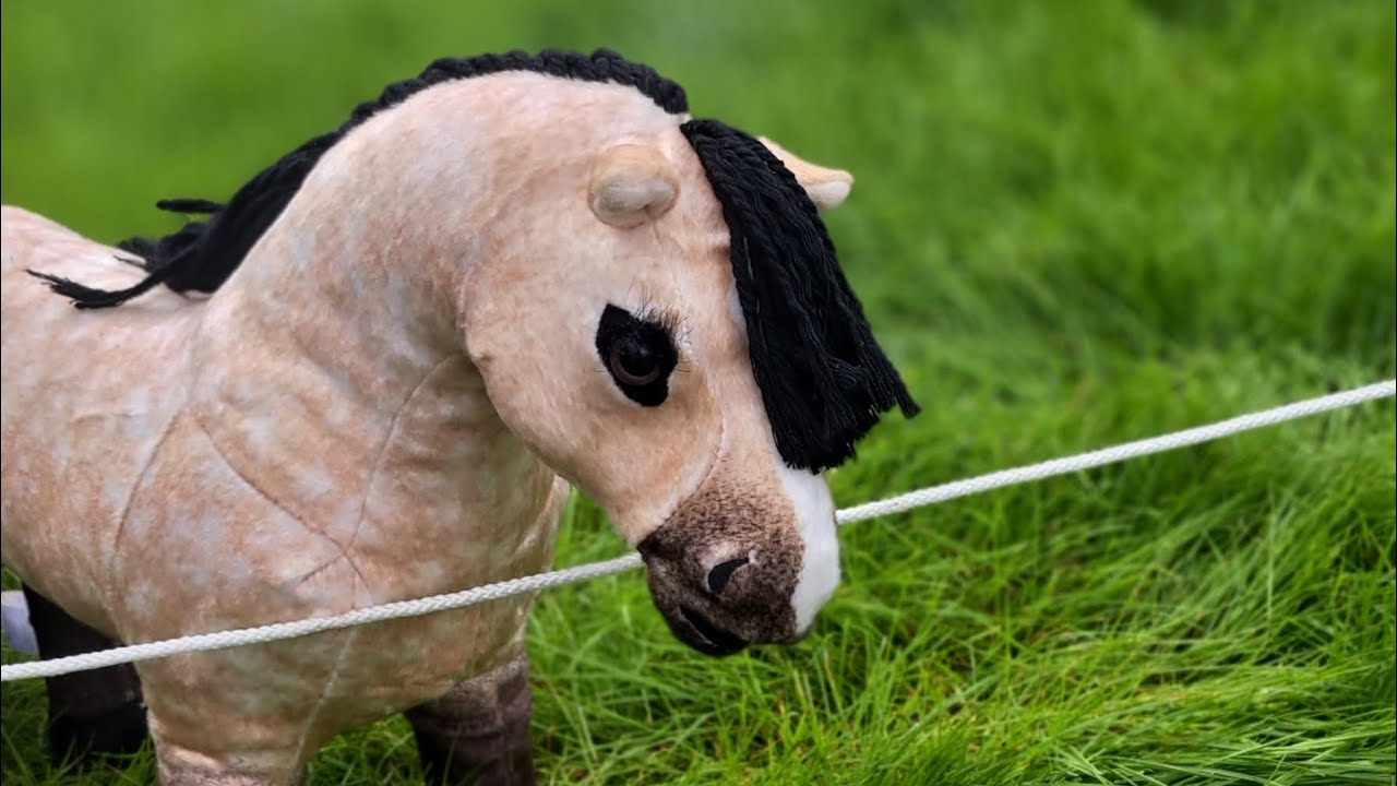 ✨️Riding my mini lemieux pony Dream on a hot and sunny day☀️ On Holiday✨️#lemieuxtoypony