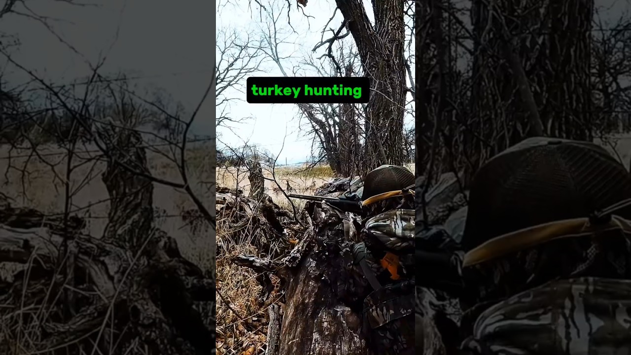 Один зов, один выстрел – индюк на рассвете