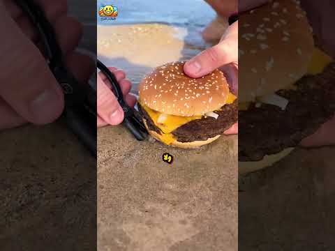 دودة الشاطئ كائن مرعب يخفيه البحر