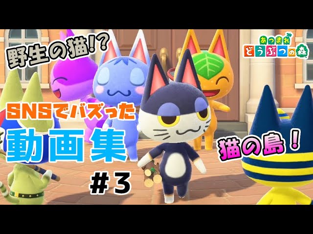 あつ森 海外snsでバズった あつ森人気住民動画まとめ あつまれどうぶつの森 Youtube あつ森 海外snsでバズった あつ森人気住民動画まとめ あつまれどうぶつの森 Youtube