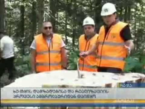 MOE: ამბროლაურის სატყეო უბანზე საპილოტე პროგრამა დაიწყო