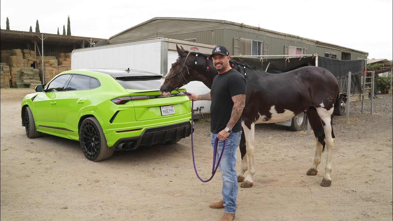 This Is What Hard Work Gets You… Horse Shopping with Mike Martinez🐴 