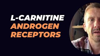 LCarnitine Androgen Receptors