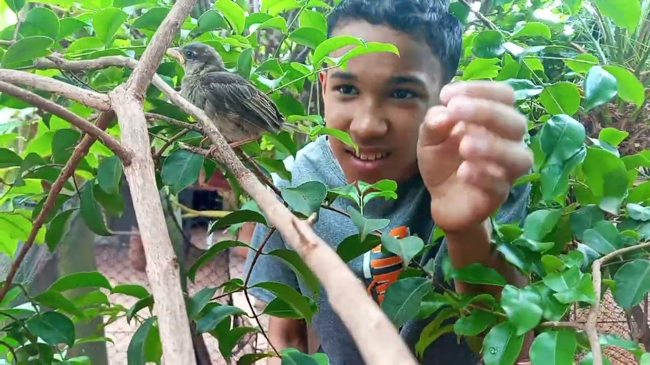 Foi uma luta,mais salvamos uma vida.