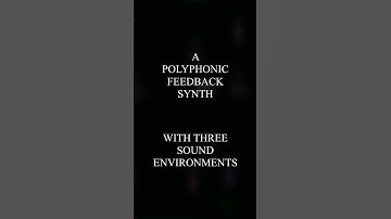 Step into Nirvana: A Playground for Sonic Exploration