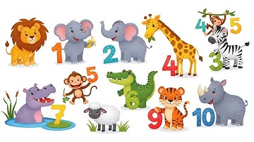 Counting Safari Adventure Numbers | Fun Counting Song for Kids | Animagic Studio