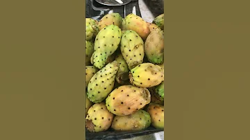 ЕГИПЕТ 🇪🇬 МОЖНО ЛИ ЕСТЬ КАКТУСЫ?