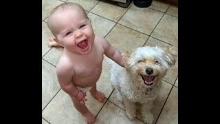 Double happiness!  Videos of funny cats and dogs for a good mood!